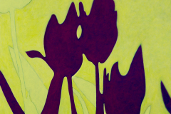 Stephanie Van Doren, Liliaceae Obscured, 2018