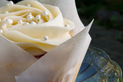wedding_cake_cupcake_outdoors-1