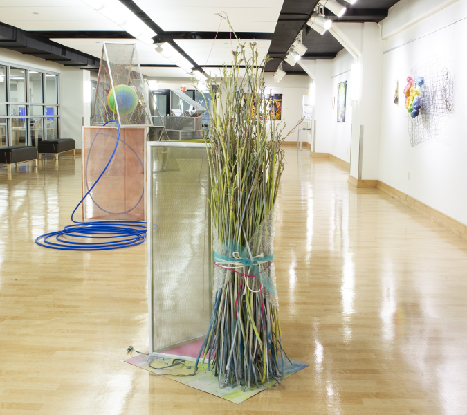 Barbie Perry, Peoria Public Library, Peoria IL, 2019