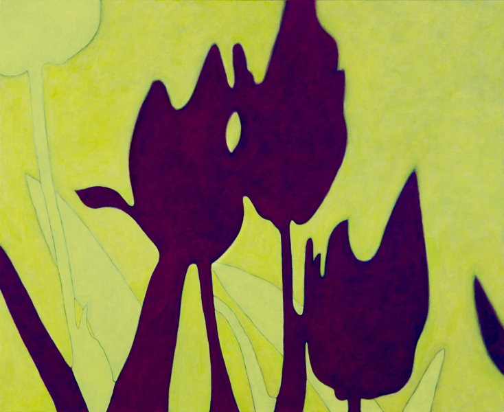 Stephanie Van Doren, Liliaceae Obscured, 2018