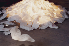 Ingrid Bathe, Nelsonville OH, 2003