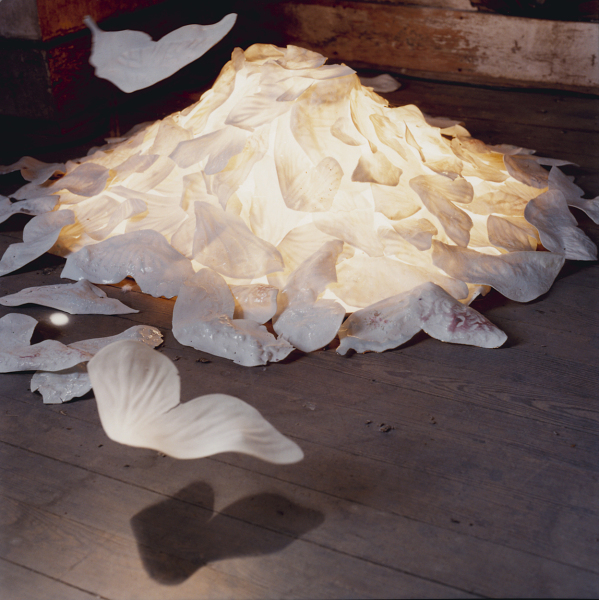 Ingrid Bathe, Nelsonville OH, 2003